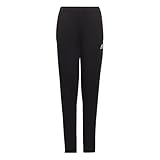 Adidas, Ent22 Tr Pnt Y , Jogginghose, Schwarz, 13-14A, Kind