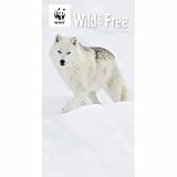 Carousel Calendars WWF Wild & Free Slim Diary 2025 (PFP)