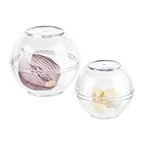 Relaxdays Zwiebeldose 2er Set, Frischhaltekugeln Knoblauch & Zwiebeln, Kühlschrank, Kunststoff, 7 & 9 cm Ø, transparent