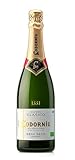 Codorníu Clásico Semi Seco– Aromatischer, halbtrockener Cava aus Spanien (1 x 0,75l)