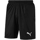 PUMA Herren Liga Shorts Core With Brief Hose, Puma Black-puma White, M EU