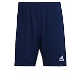 adidas Men's ENT22 TR SHO Shorts, Tenabl, L