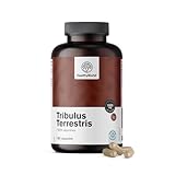 HealthyWorld® Tribulus Terrestris - Erd-Burzeldorn 1920 mg - 180 pflanzliche Kapseln - 90% Saponine - Natürliche Unterstützung für die Steigerung der Libido, der Leistung und des Testosterons