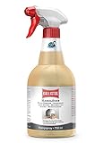 Eva Shop® Ballistol Premium Harzlöser Harz-Entferner | Baumharz-Entferner Spray | Reiniger für Kettensägen, Motorsägen, Heckenschere, Sägeketten, Kreissäge, Hobel uvm. NEUHEIT 750ml Sprühflasche