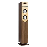 auna Lautsprecher mit Radio & CD-Player mit Bluetooth, Vintage-Standlautsprecher Groß, Bluetooth Sound Tower mit FM-Radio, Standboxen mit LED, Fernbedienung, USB, MP3 & SD-Port, Turmlautsprecher