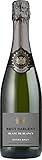 Brut Dargent - Sekt Blanc de blancs Extra Brut - Qualitativ hochwertiger Sekt aus Frankreich, Methode traditionnelle (1 x 0.75 L)