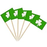 AhfuLife 200 Stück Grüne Blätter Zahnstocher Flaggen, Irische Fahne Klein Zahnstocher für Sandwich Lebensmittel Cupcake Toppers Toothpick Cocktail Obst Partyzubehör St Patricks Day Partydeko