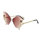 LIFKOME Sonnenbrille Partyzubehör Schmetterlingsbrille Komisch Aussehende Brille Partybrillen Vintage Rahmenlose Brille Outdoor-brille Foto-requisite Schmetterlingszubehör Stk