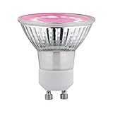 Paulmann 28736 LED Lampe Pflanzenlicht 3,5W Leuchtmittel Wachstumslicht Beleuchtung Licht 1100K GU10