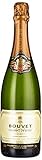 Bouvet Ladubay Brut Blanc Excellence AOC Cremant de Loire brut (1 x 0.75 l)