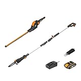 Worx 18V (20V MAX) Akku Teleskop Heckenschere & Hochentaster WG908E: PowerShare, 2,0 Ah Akku, Dual-Schnittklingen, automatische Kettenspannung, automatische Ölschmierung, inkl. Schnellladegerät