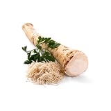 Meerrettich | Kren | Horseradish - Frische Stangenware - gewaschen [pro Kilo]