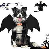 TFSZE Haustier Fledermausflügel, Hund Haustier Halloween Kostüm Mit 2PCS Pumpkin Bell,Einstellbar Ca. 6 Cm Halloween Katzenkostüm, Niedlich Halloween Kostüm, Für Schwarze Halloween Nacht Party-Größe L