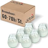 Sovie Candles Glaswindlicht Flairlight für schönes Ambiente | Kerzen Brenndauer ca. 60-70 Std. | Feier Tischdekoration Gastronomie 6 Stück im Tray (Transparent