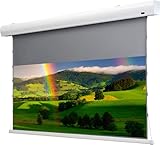 celexon HomeCinema Motorleinwand Tension 177 x 99 cm, 80 - Dynamic Slate ALR