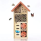 Buddy Wild Insektenhotel - 13x8,5x26 cm Umweltfreundliches Insektenhaus für Schmetterlinge Marienkäfer im Garten - Kinderfreundliches Witterungsbeständiges Bienenhotel