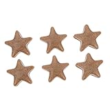 VOSAREA 6 Paare Vorhang-Magnet Gewichtsblock Für Tischdecken Gardinenhaken Für Vorhänge Magnetische Gardinengewichte Vorhanggewicht Fünfsternförmiger Vorhangdrapierungsblock Golden Abs