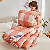 Quilt, Thick and Warm Duvet in Winter, Microfibre Filled, Fluffy Soft, Machine Washable (C,200 * 230cm/4kg)