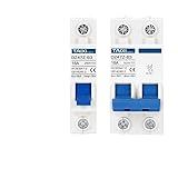 wangfq Fi Solarenergie PV MCB DC 1000V Mini-Leistungsschalter 2P 100A 500V Photovoltaik-Stromerzeugungsschalter 63A 16A 40A 32A 125A Fi Schutzschalter(2P DC1000V,40A)