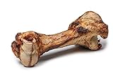 DIBO Mamut-Knochen, ca. 30cm, der kleine Naturkau-Snack oder Leckerli für Zwischendurch, Hundefutter, Qualitätskauartikel ohne Chemie von DIBO