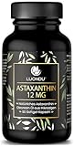 Luondu Astaxanthin 12mg Astaxanthin Hochdosiert - 90 Astaxanthin Softgel Kapseln - Astaxanthin Kapseln Natürliches Astaxanthin - Antioxidantien Astaxantin Kapseln Astaxanthin Bräunungskapsel