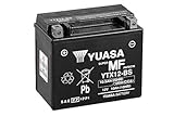 Yuasa YTX12-BS (WC) wartungsfreie Batterie