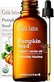 Gya Labs Bio kürbiskernöl (100ml) – 100% reines Pumpkin Seed Oil für haare nährend und stärkend