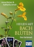 Heilen mit Bachblüten. Das Kartenset. Mit 42 Bachblüten-Karten und 46-seitigem Booklet