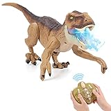 NEXBOX Ferngesteuerter Dino Geschenk für Kinder - RC T-rex Dinosaurier Spielzeug Elektrischer Weihnachten Geburtstag Prähistorische Kreaturen fur 3-12 Jahre Jungen und Mädchen