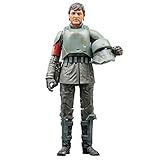 Hasbro Star Wars The Black Series Din Djarin (Morak), Action-Figur (ca. 15 cm) zum Sammeln zu The Mandalorian, Spielzeug, ab 4