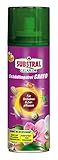 Substral Celaflor Schädlingsfrei Careo Pumpspray Orchidee gegen Blattlaus, Thrips, Weiße Fliege, etc, 200 ml Pumpspray