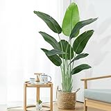 Keeplush Künstliche Paradiesvogel Pflanze groß 150cm künstliche Tropische Palme mit 10 Blättern perfekte künstliche Pflanzen im Topf für drinnen und draußen Haus Büro Garten Moderne Dekoration（1 Pack）