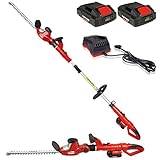 Grizzly Tools Akku Kombi Heckenschere AKHS 20 Set, 2 Heckenscheren in einem Gerät durch herausnehmbaren Teleskopstiel, 2 Akkus 20 V, 4 m Schnitthöhe