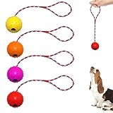 Wurfball Hund, 4 Stück Ball mit Seil Naturkautschuk Ball für Hunde Hundespielzeug Ball Hundeball Weich und Elastisch Vollgummiball für Große & Kleine Hunde Werfen Zufällige Farbe