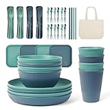 ZgoEC 53pcs Camping Geschirr Set 4 Personen, Unzerbrechliches Campinggeschirr 4 Personen, Leicht Plastikgeschirr Set mit Tragetasche, Stapelbar Teller Schüsseln, Picknick Tafelsevice für BBQ Garten