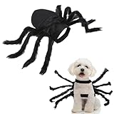 HONMOK Spinnen Kostüm Hund Spinne Hundekostüm Spinnenkostüm Haustier Spinnekostüm Katze Gruselige Spider Kostüm Halloween Horror Cosplay Zubehör für Hund Katze Haustier Fasching Karneval (M Size)