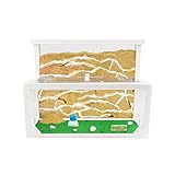 AntHouse - Natürliche Ameisenfarm aus Sand 3D | Modell L (Sandwich + Futterbox) Weiß | Ant Farm | Inklusive Ameisenkolonie