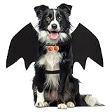 Fledermausflügel Hund Halloween, Fledermaus Kostüm Hund, Fledermausflügel Hund, Halloween Kostüm Hunde Fledermaus, Hundekostüm Halloween,M