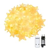 YINUO LIGHT Lichterkette Sterne, 2mx1.5m 8 Modi Lichtervorhang 144 LEDs, Fernbedienung 80 Sterne IP44 Wasserdicht Weihnachtsbeleuchtung Sternvorhang für Zimmer Fenster Weihnachts Außen Warmweiß