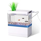 Mini Aquarium-Komplett-Set 2 Liter, inklusive LED-Beleuchtung, Innenfilter und USB, ideal für Krebse, Garnelen und Kleiner Fisch (Blau)