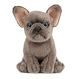 Living Nature Soft Toy - Stofftier Französische Bulldogge Welpe (16cm), AN437, Unbekannt