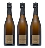 3x 0,75l - 2013er - Terra de Marca - Brut Nature Vintage - Cava D.O.P. - Spanien - Schaumwein brut