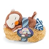 NICI 47876 Schlafendes Kuscheltier Oscar im Nest 12cm Plüschtier für Mädchen, Jungen & Babys – Flauschige Stofftier Eule zum Kuscheln, Spielen & Schlafen – Gemütliches Schmusetier