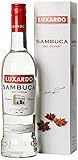 Luxardo Sambuca dei Cesari Likör (1 x 0.7 l)