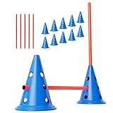 ANISKILLS® - Premium Agility Set - 10 Blaue Kegel 30,5cm hoch, 5 orangene Stangen 80cm lang - Flexibles Koordinationstraining - Hunde Parcour und Hürden Set - Agility Set - deutsches Unternehmen