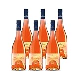 KATLENBURGER - Momentivo Bitter-Orangen Spritz | Fruchtiger Aperitif für besondere Lebensfreude-Momente. Mit hochwertigem Fruchtwein. Inhalt: 6x 0,75l mit 4,5% vol.