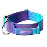 Spark Paws Taktisches Hundehalsband mit Griff - Premium Qualität, Robustes Design für große Hunderassen - Pitbulls, Labradore, GSD - 90s Retro - S