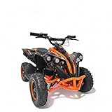 KXD M3 Elektro 6' 36V 1000W Quad Mini ATV Miniquad Kinderquad Kinder Enduro Pocketquad Sportquad Jugendliche Freizeitfahrzeuge Elektroquad Erwachsene Funsport schwarz-grün