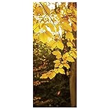 Display-Poster Dekobanner Hängedeko Stoffbanner goldene Herbstblätter 75 x 180 cm Stoff-Motivdruck