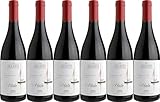 Alcesti Hèila Rosso Sicilia DOC 2023 Trocken Bio (6 x 0.75 l)